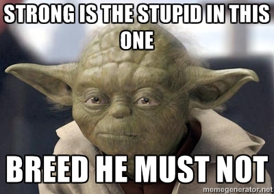 Image result for hmmm the stupid is strong in this one