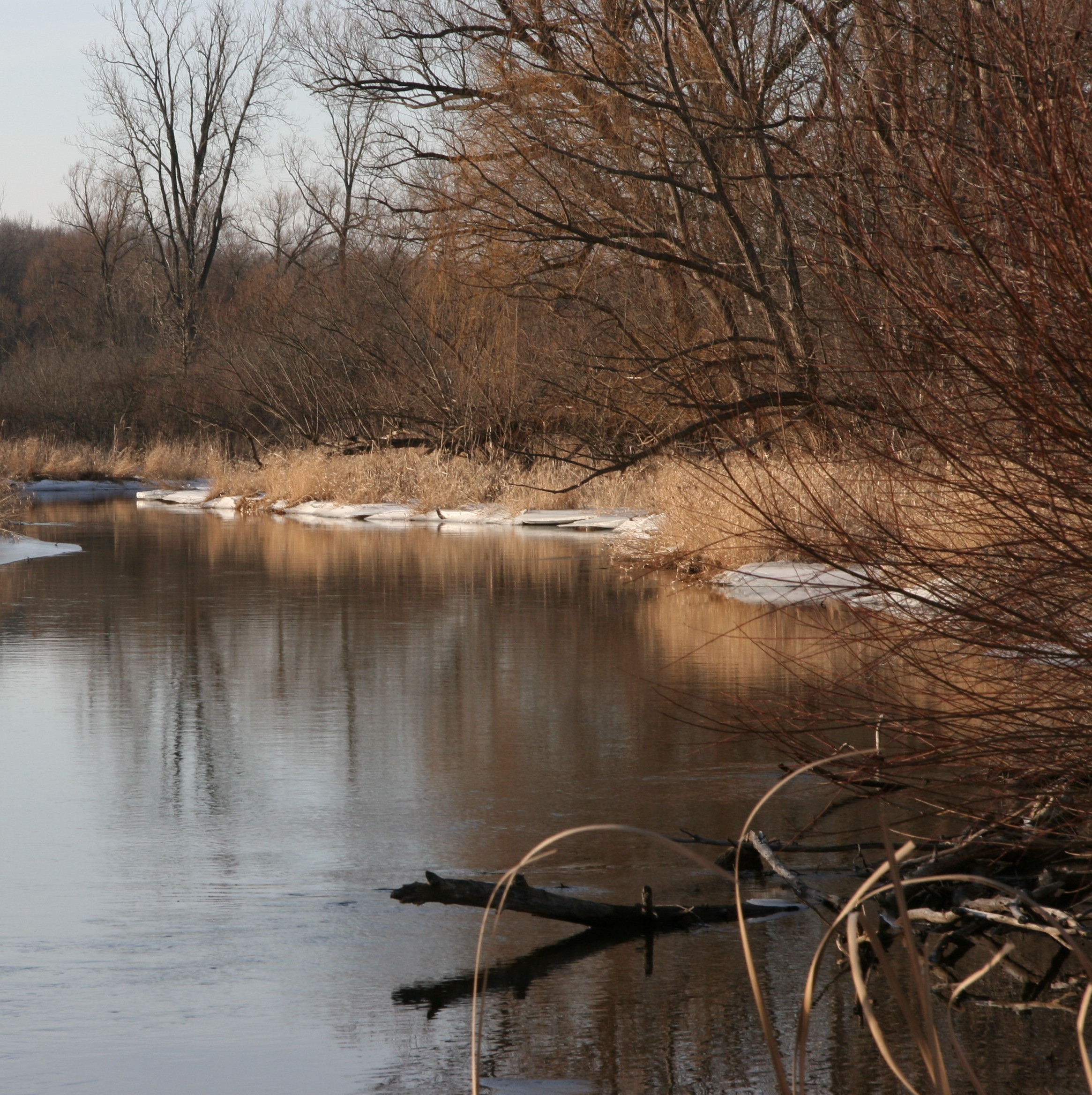 Clinton_River_Curves.jpg