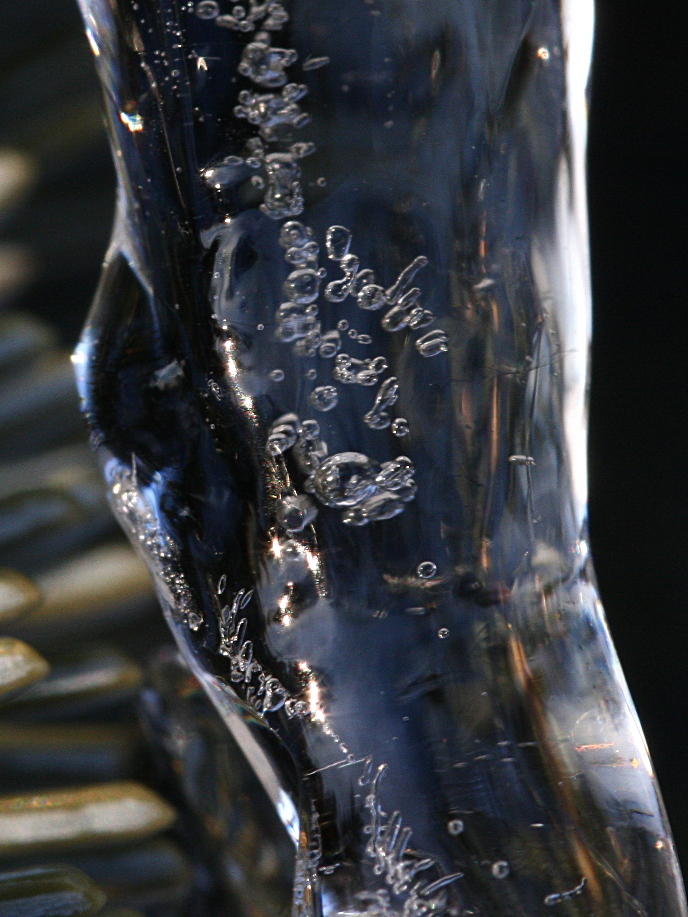 IMG_5206-crop+50pct+shrp.JPG