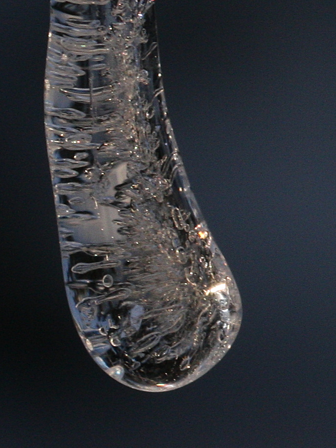 IMG_5208-crop+shrp.JPG